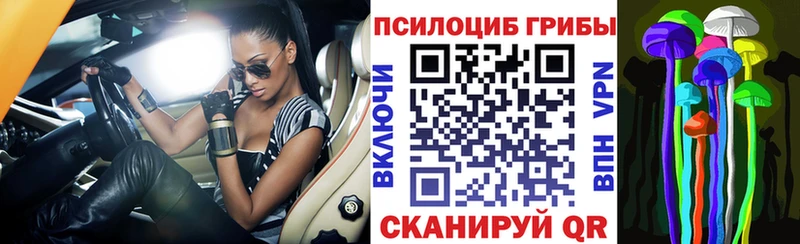 Псилоцибиновые грибы Magic Shrooms  Купить  Венёв 