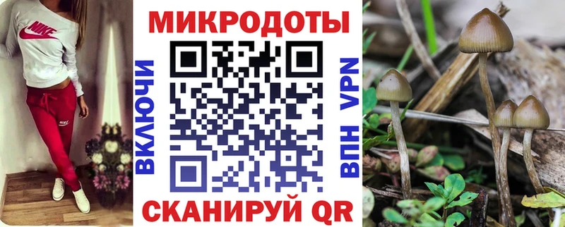 Псилоцибиновые грибы Cubensis Венёв